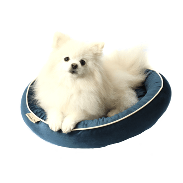 Cama-Austria-Bichinho-Chic-Azul-com-cachorro