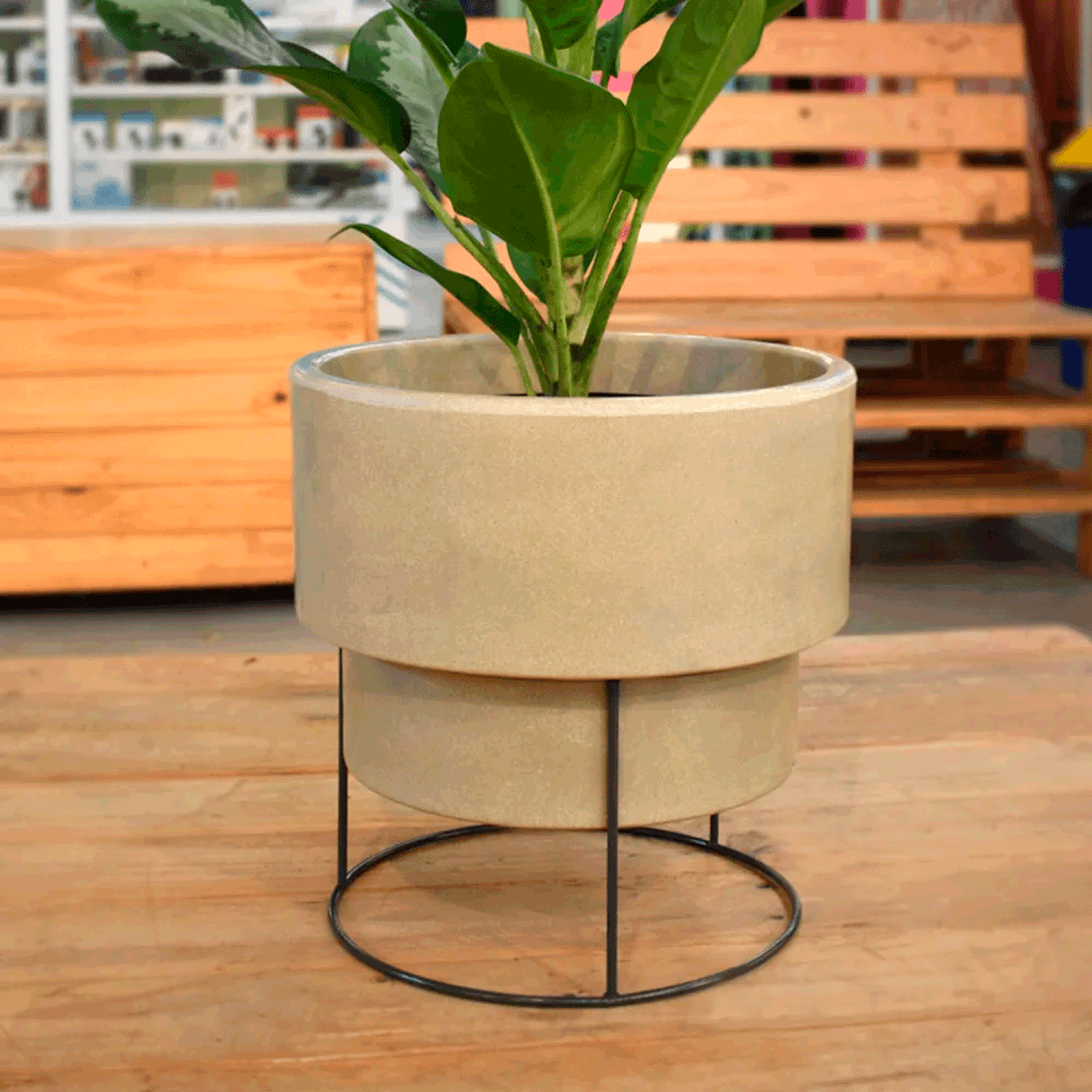 Vaso-Loft-29-x-21cm-Antique-Amnbiente.png