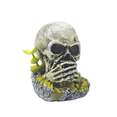 Enfeite para Aquário Crânio Não Falo com Arranjo Aquária