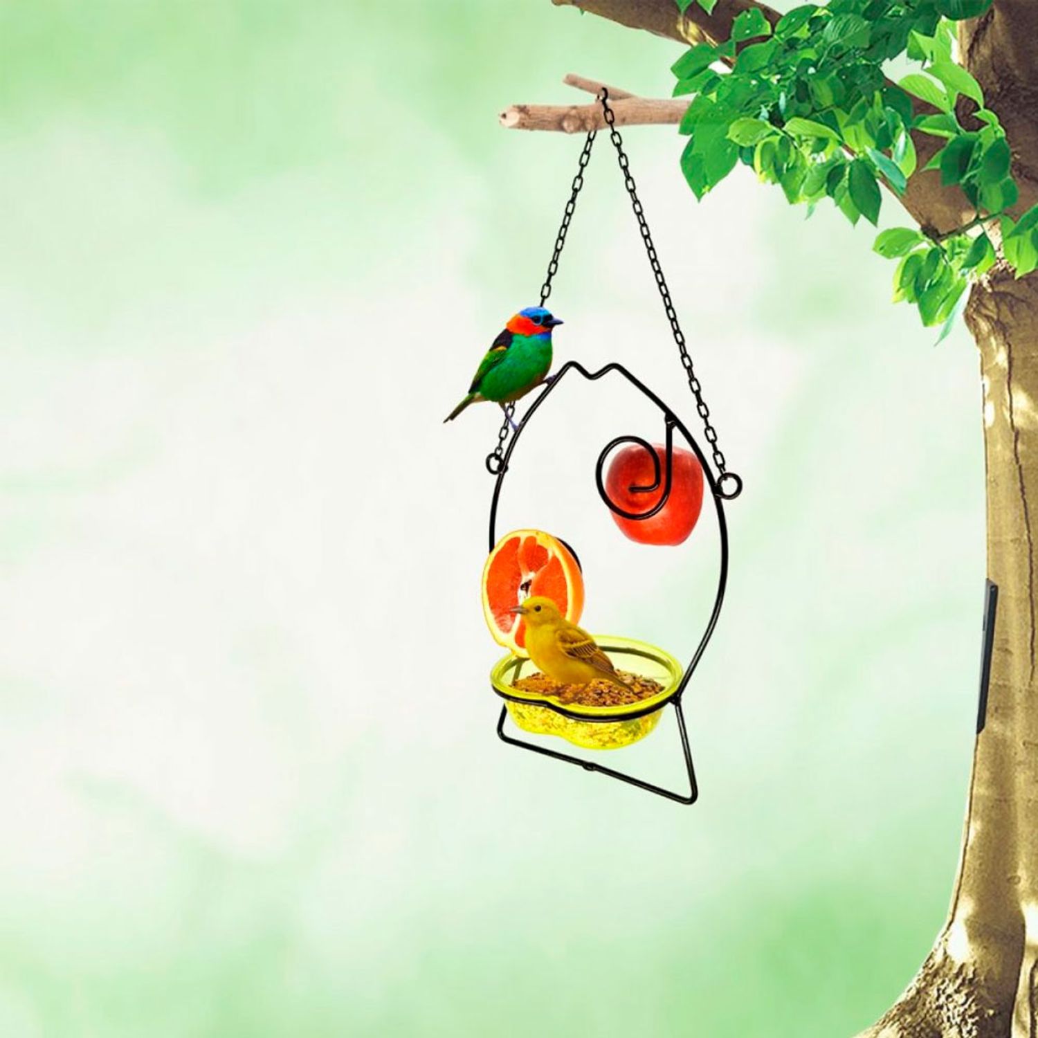 Comedouro Livre Birds Wire Fish demonstração na natureza