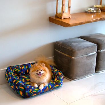 Splitz-usando-a-Cama-Arara-Azul-para-Caes-e-Gatos-Fabrica-Pet