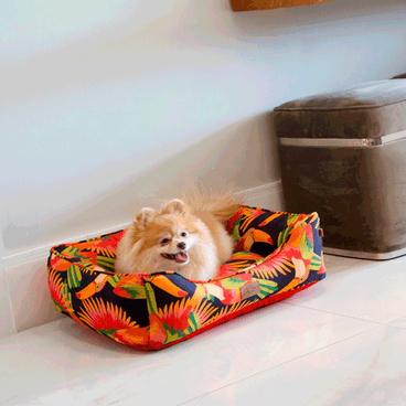 Splitz-dentro-da-Cama-Tucano-Fabrica-Pet-Vermelho