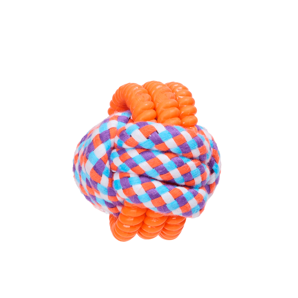 Brinquedo Bolinha Flicks para Cães