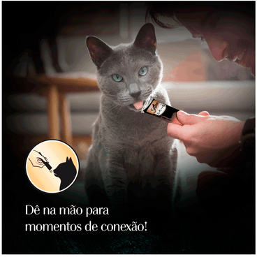 Petisco-Cremoso-Sheba-para-Gatos-Adultos-Atum-direto-na-boca