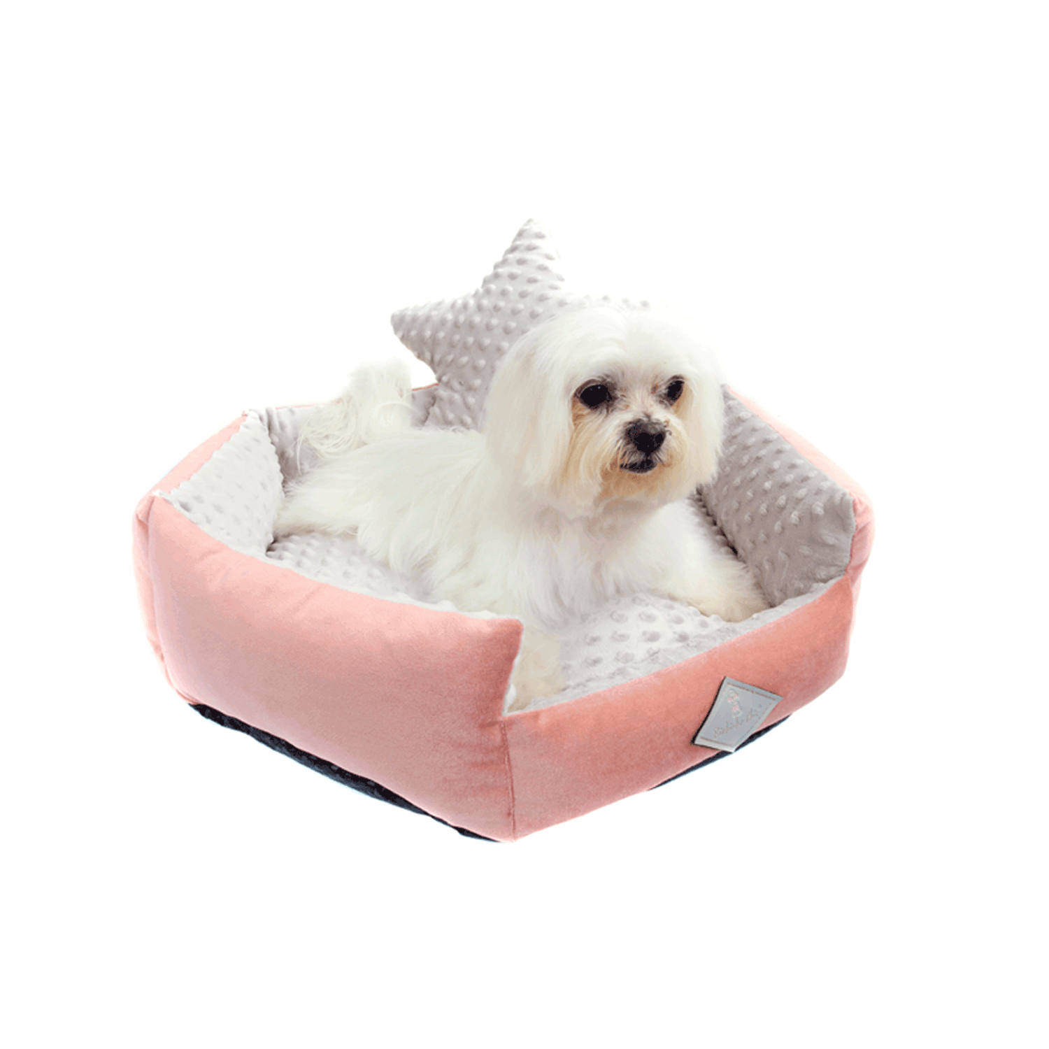 Shih-Tzu-dentro-da-Cama-Bubble-Rosa-Bichinho-Chic