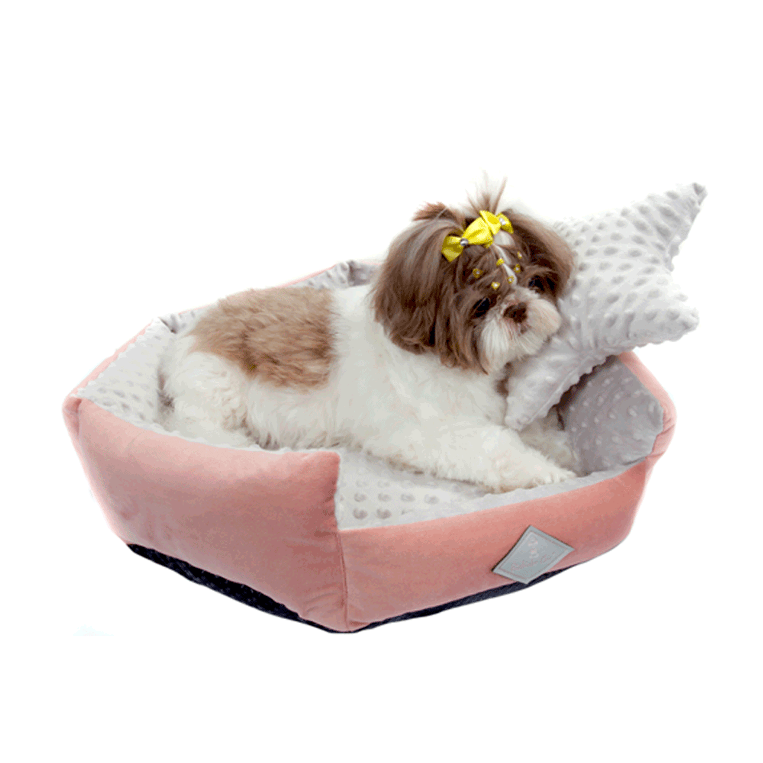 Lhasa-Apso-dentro-da-Cama-Bubble-Rosa-Bichinho-Chic