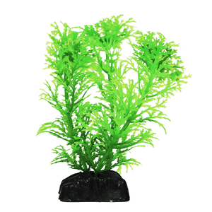 Planta Plástica para Aquário Maxxi AP-050C - Único