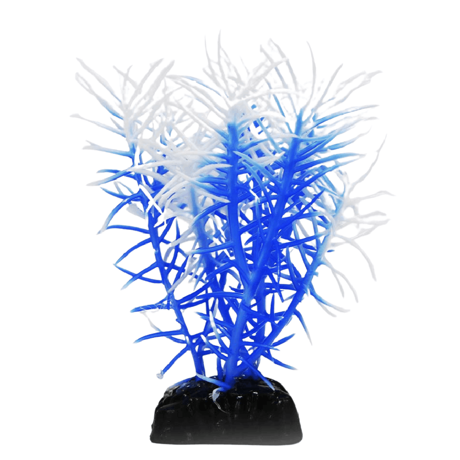 MAXXI-PLANTAS-AP-095P---7898590326777---Azul-e-Branco.png