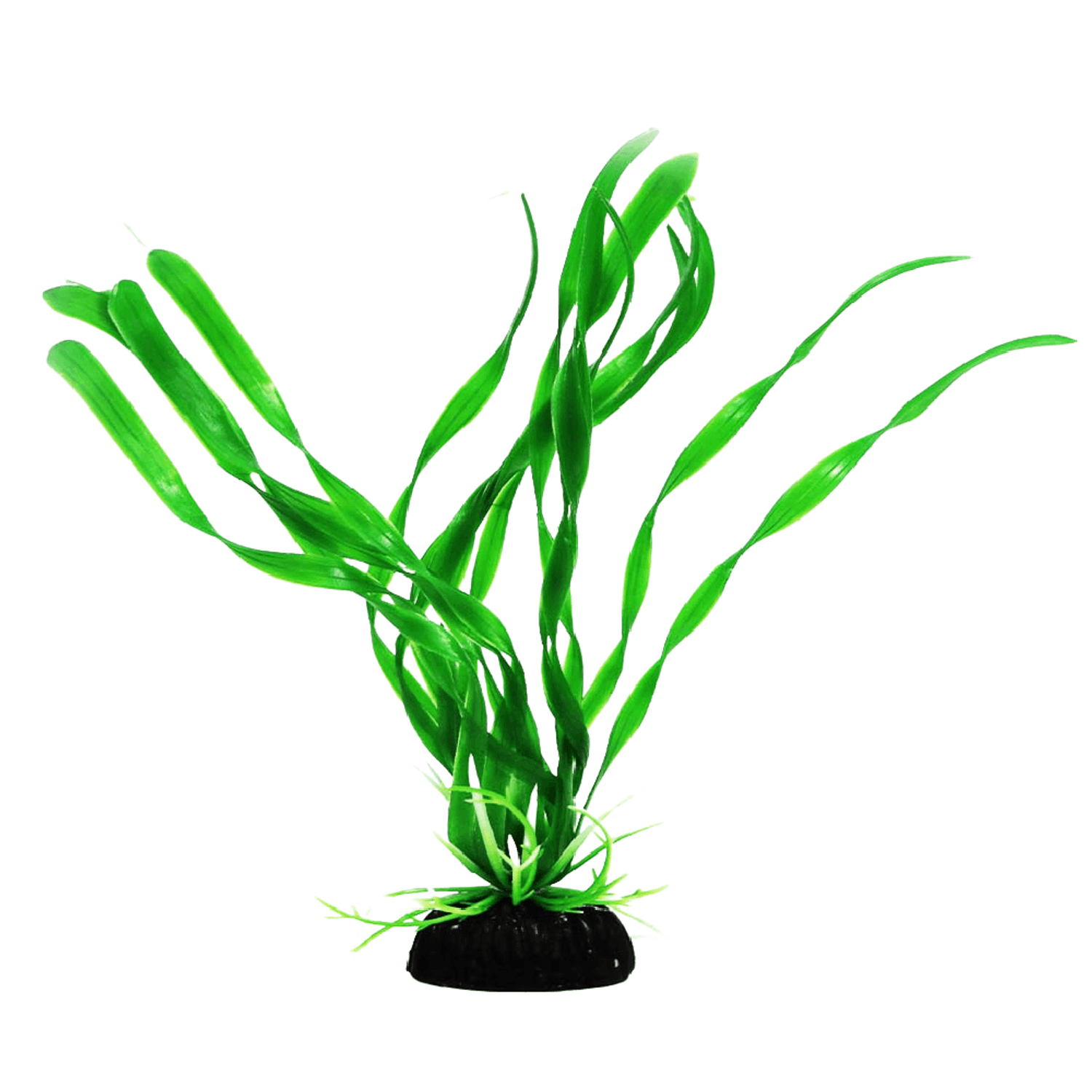 MAXXI-PLANTAS-AP-026---7898590327637---Verde.png