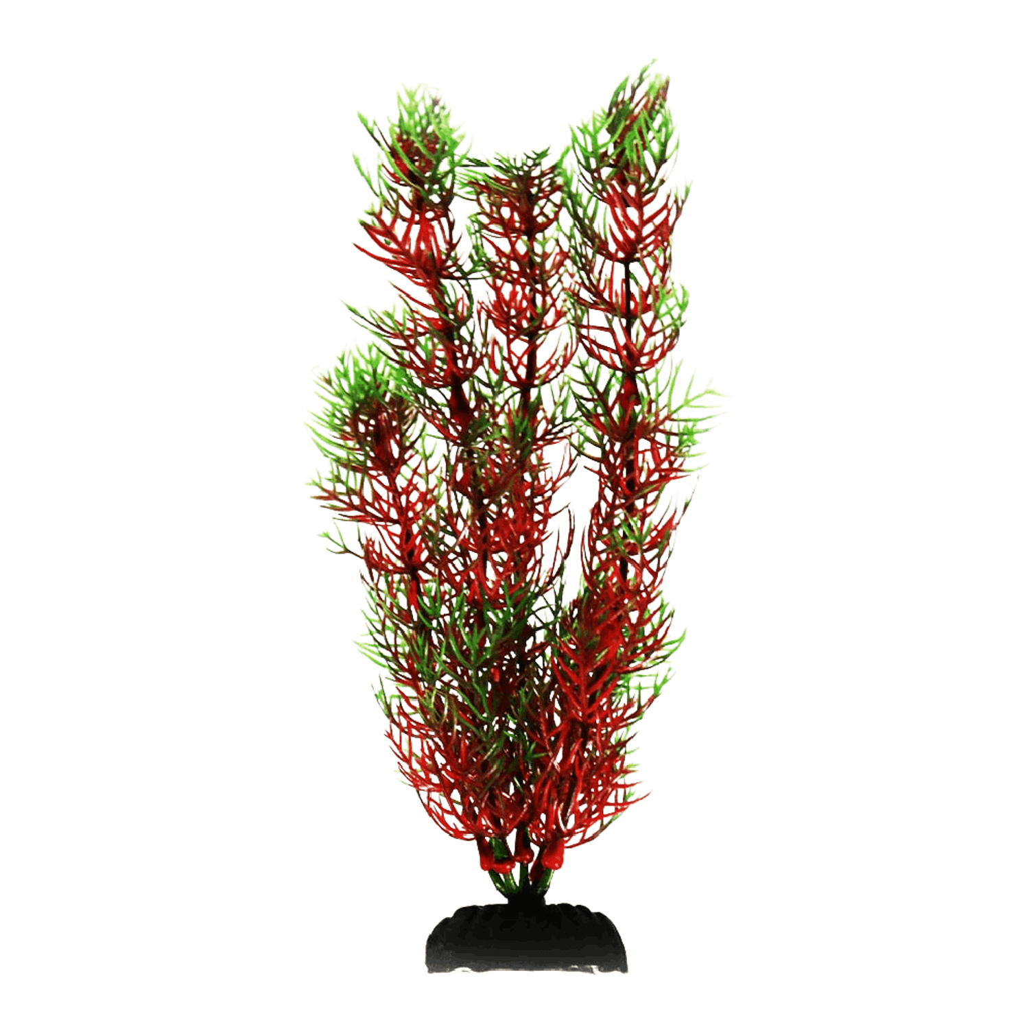MAXXI-PLANTAS-AP-030A---7898590327644---Vermelha-e-Verde.png