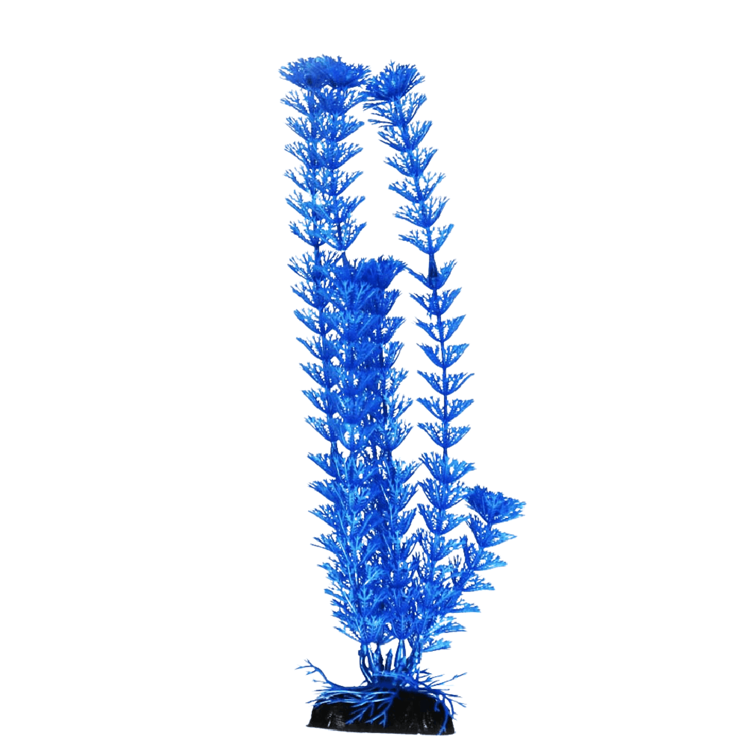MAXXI-PLANTAS-AP-002M---7898590327279---Azul.png