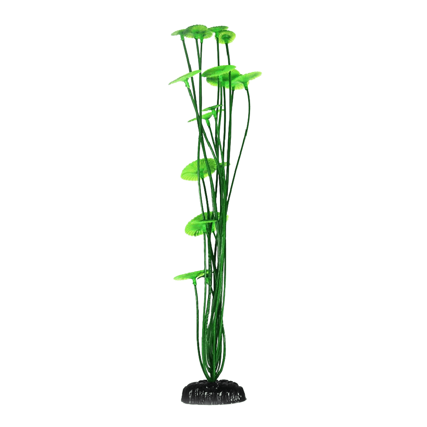 MAXXI-PLANTAS-AP-059C----7898590327866---Verde.png