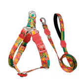 Peitoral e Guia Tropical Caju São Pet Vermelho