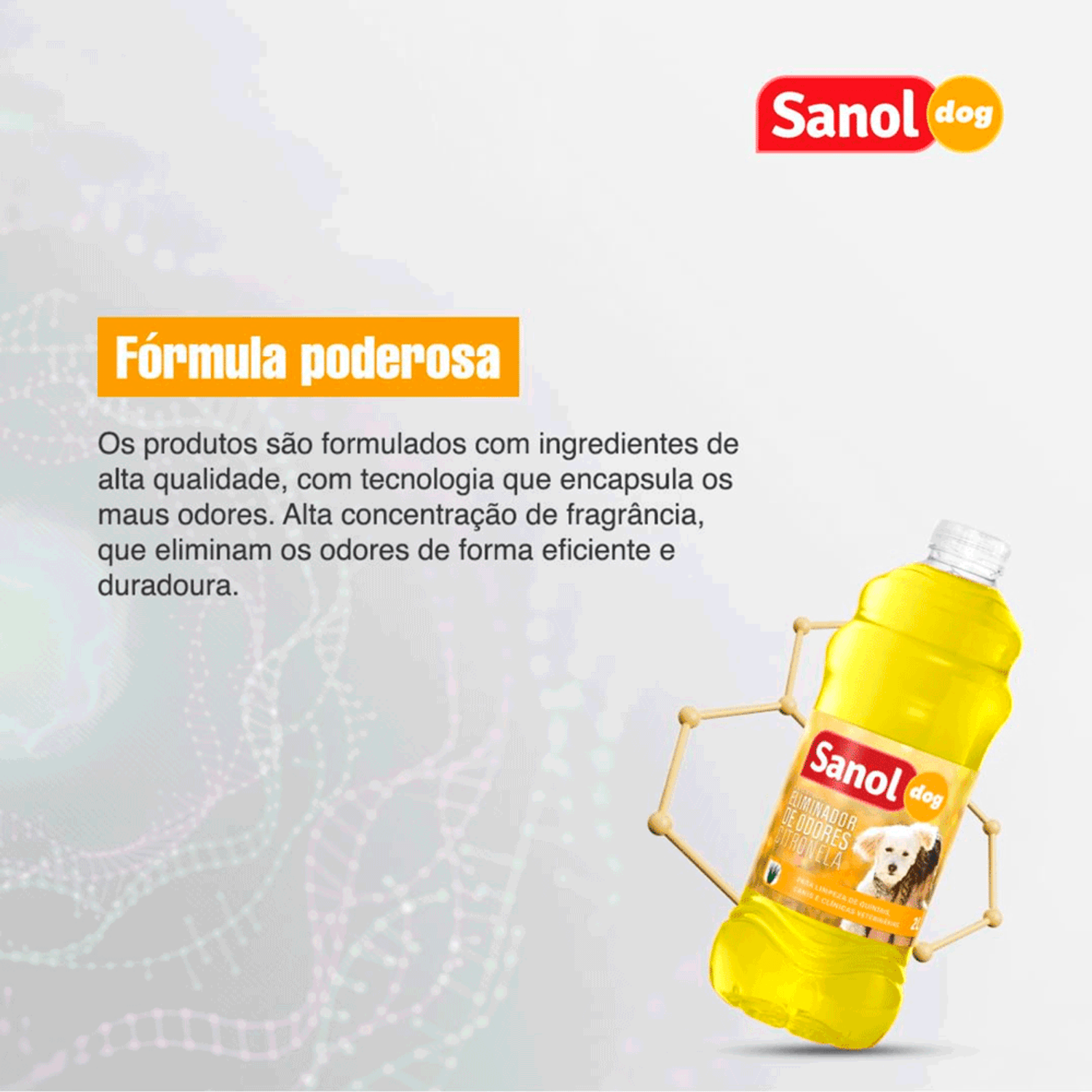 Formula-Poderosa