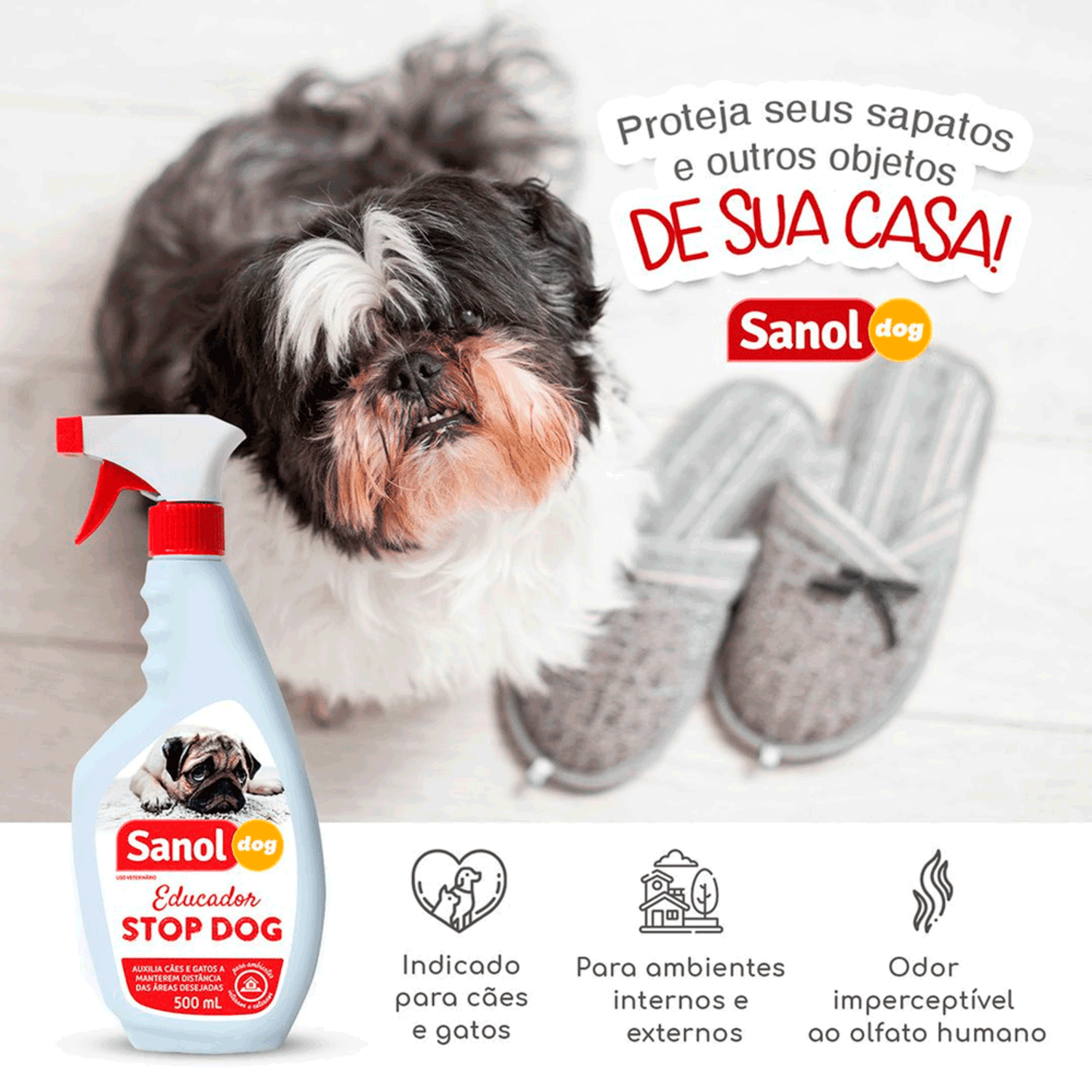 Proteja-seus-Sapatos