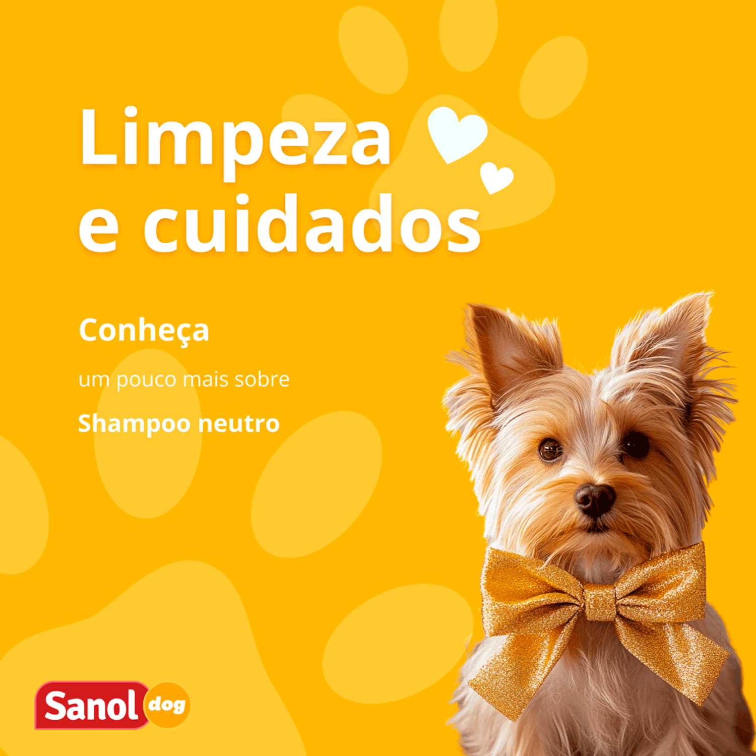 Limpeza-e-Cuidado
