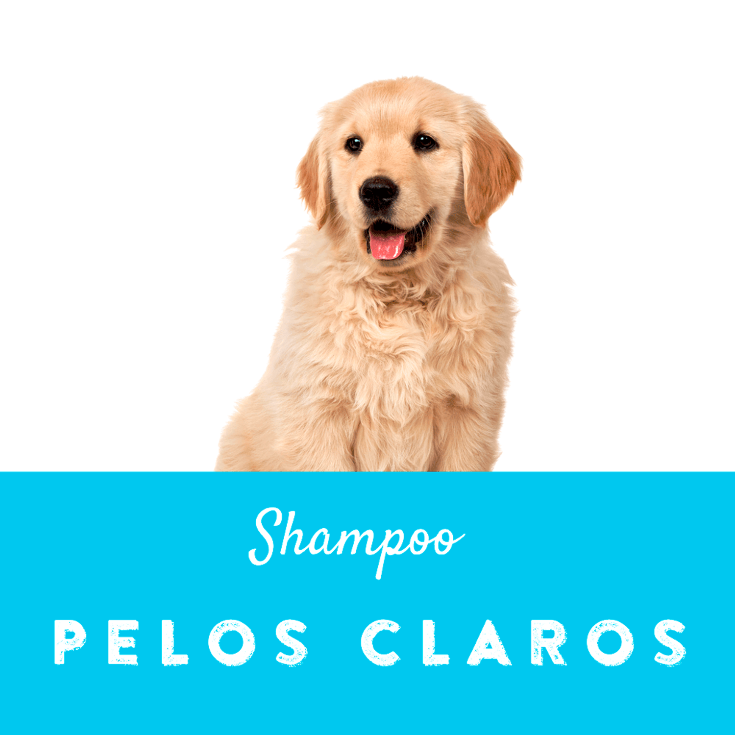 Shampoo-para-Pelos-Claros