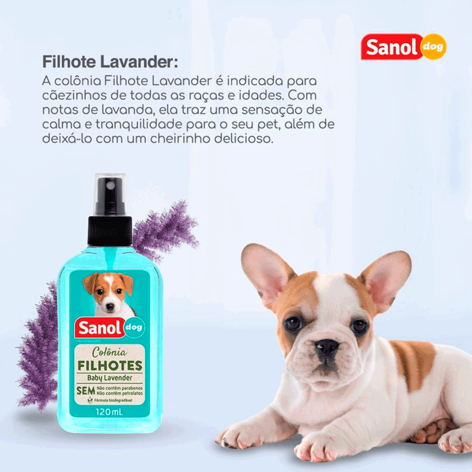 Informacoes-da-Colonia-Filhote-Baby-Lavender-Sanol-Dog