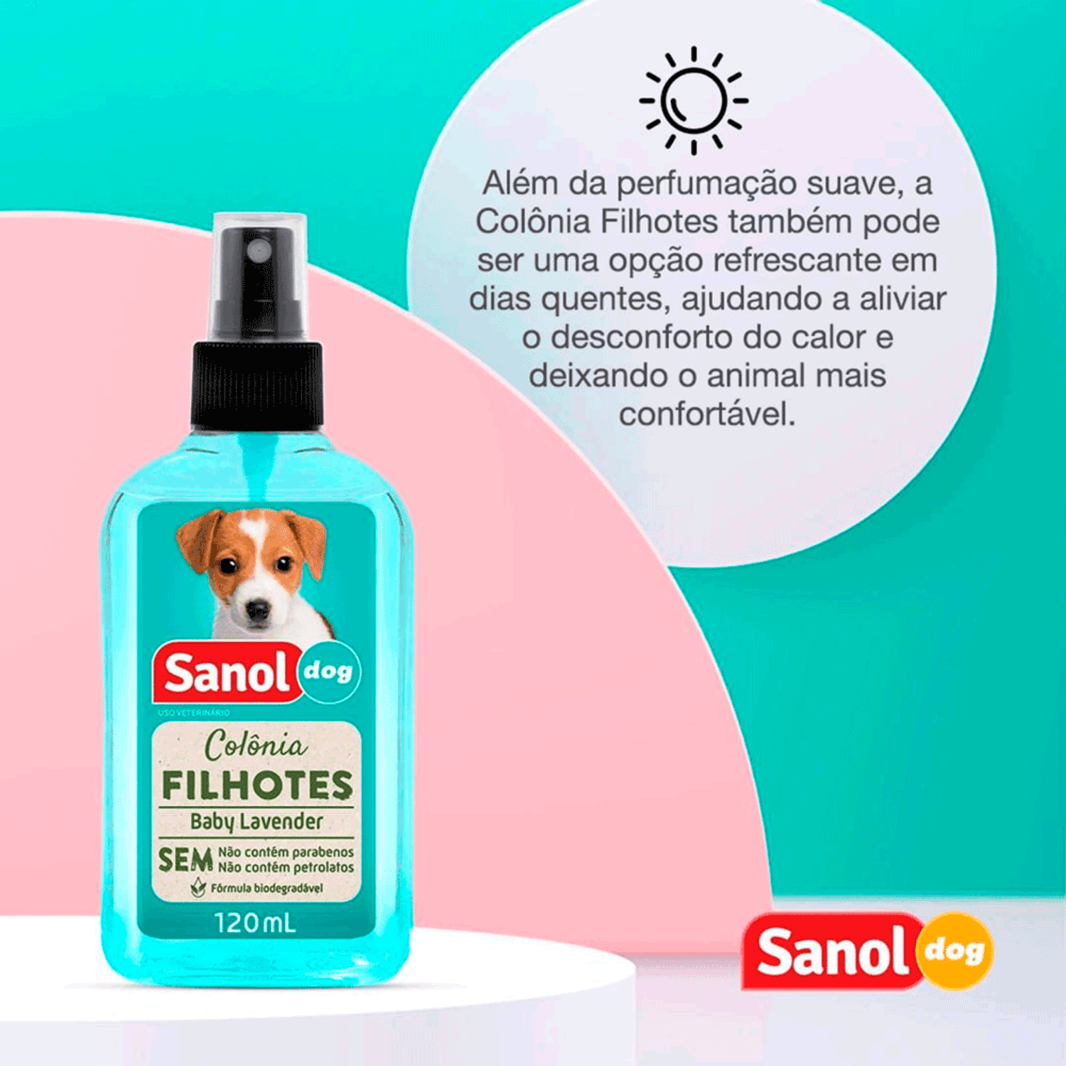 Informacoes-Adicionais