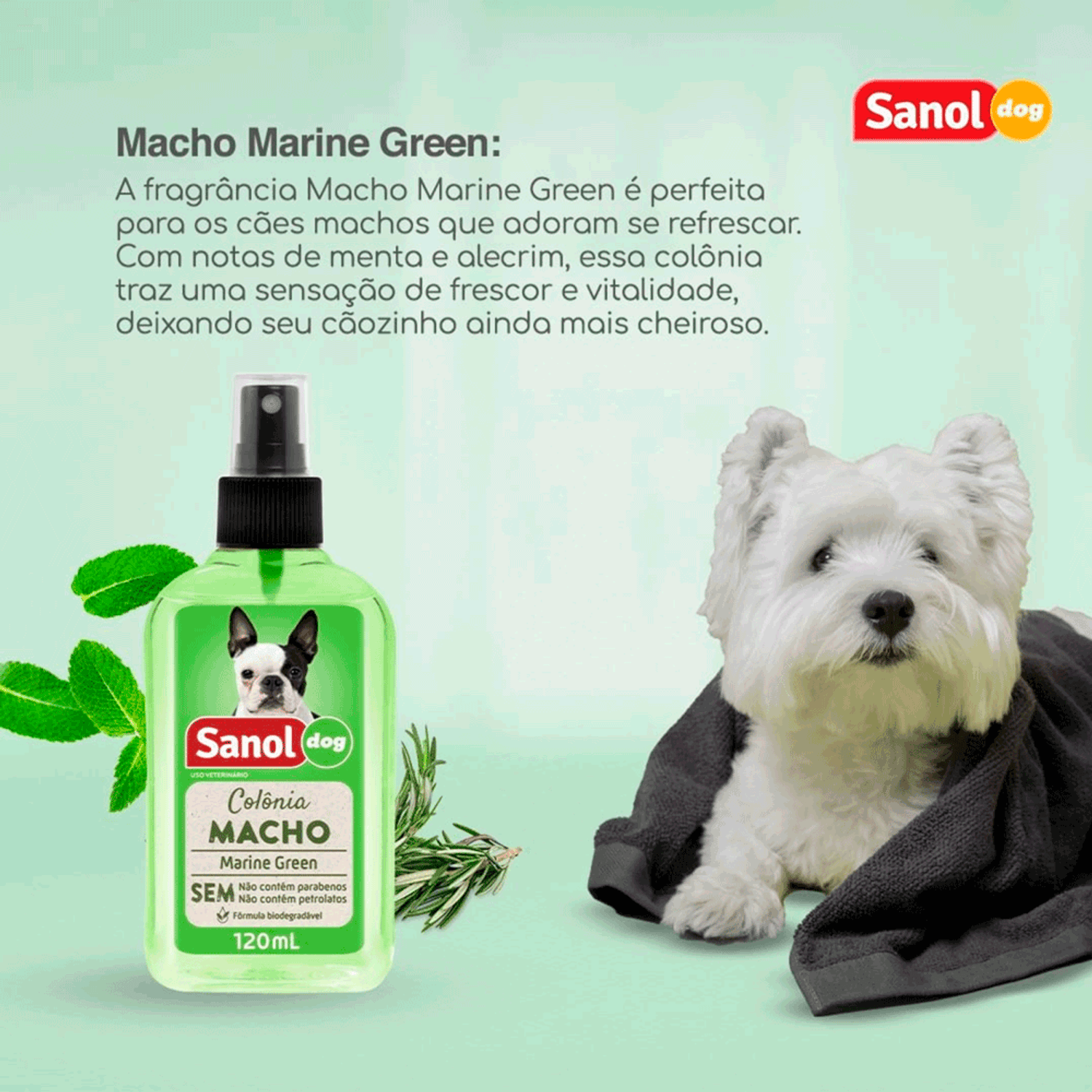 Informacoes-da-Colonia-Macho-Marine-Green-Sanol-Dog