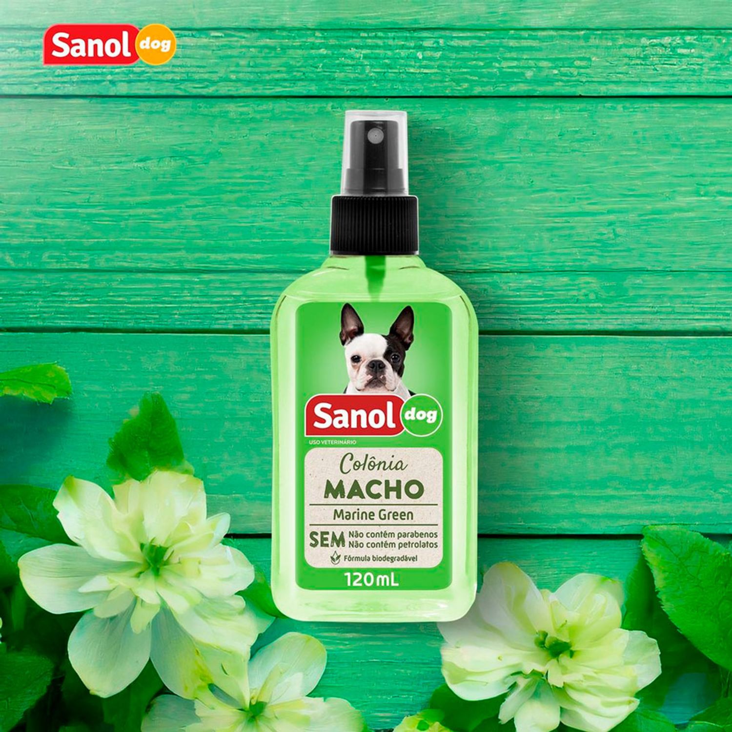 Fragrancia-Marine-Green