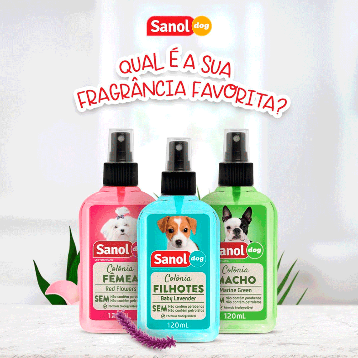 Linha-Completa