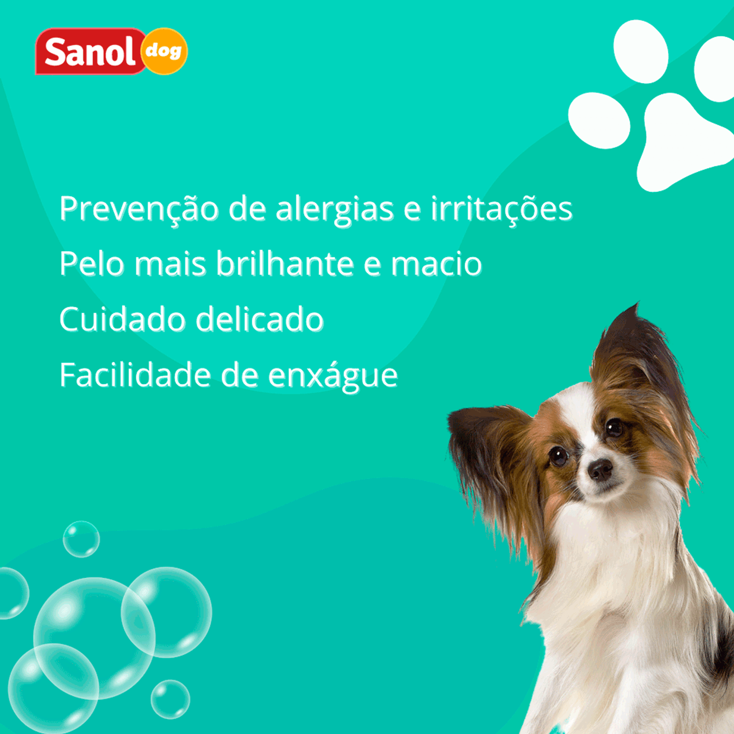 Beneficios-do-Shampoo-para-Caes-Filhotes-Sanol