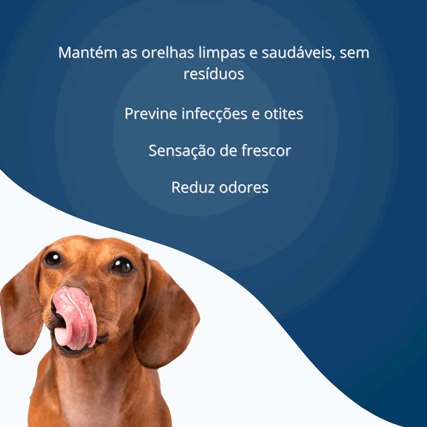 Beneficios-da-Locao-Limpa-Orelhas-Caes-e-Gatos-Sanol
