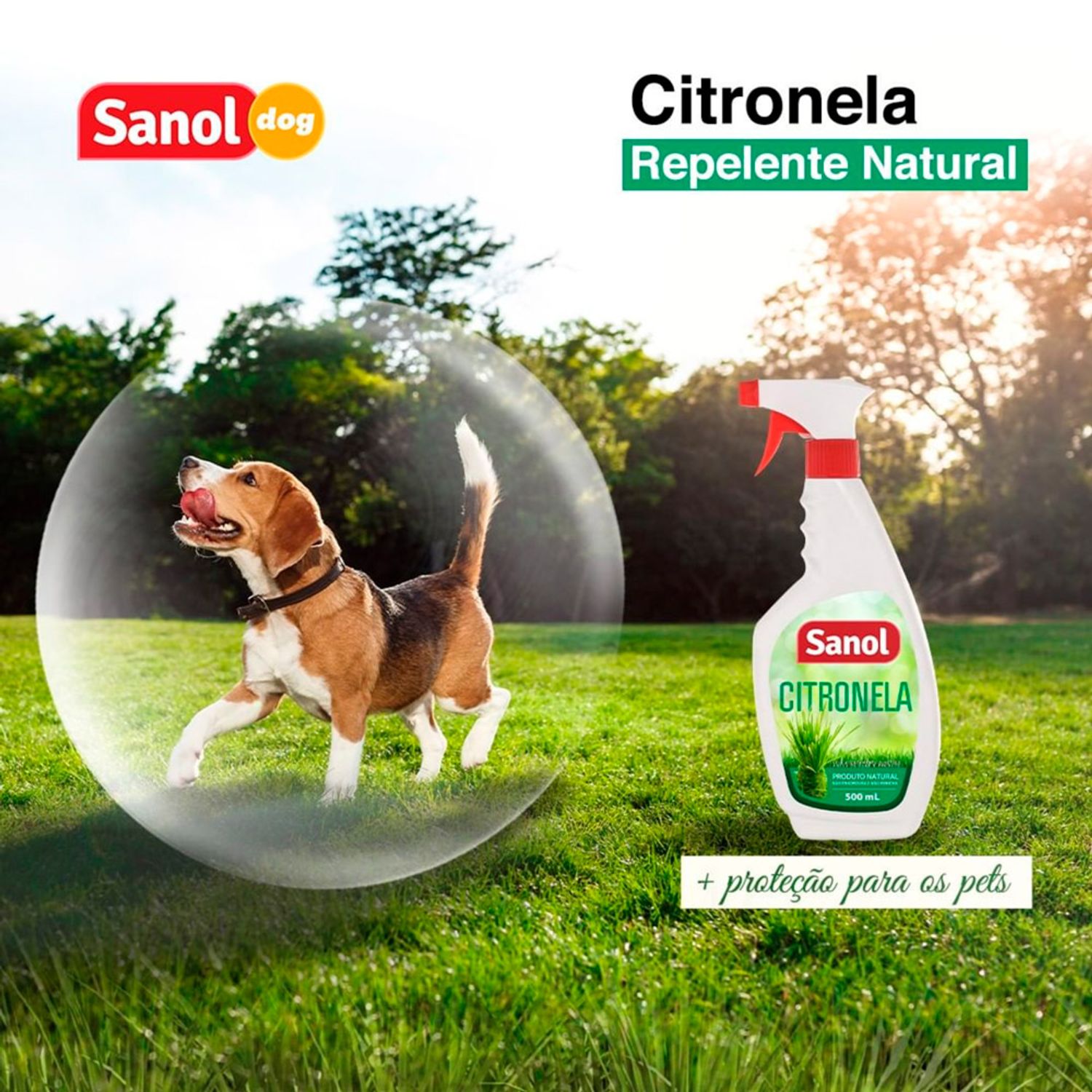 Repelente-Natural-de-Citronela