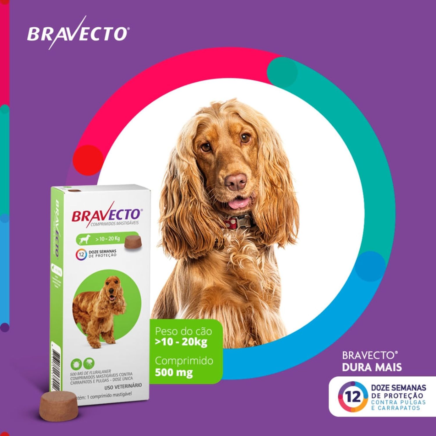 Bravecto-10-kg-a-20-kg-Caes-comp-500mg-dura-mais