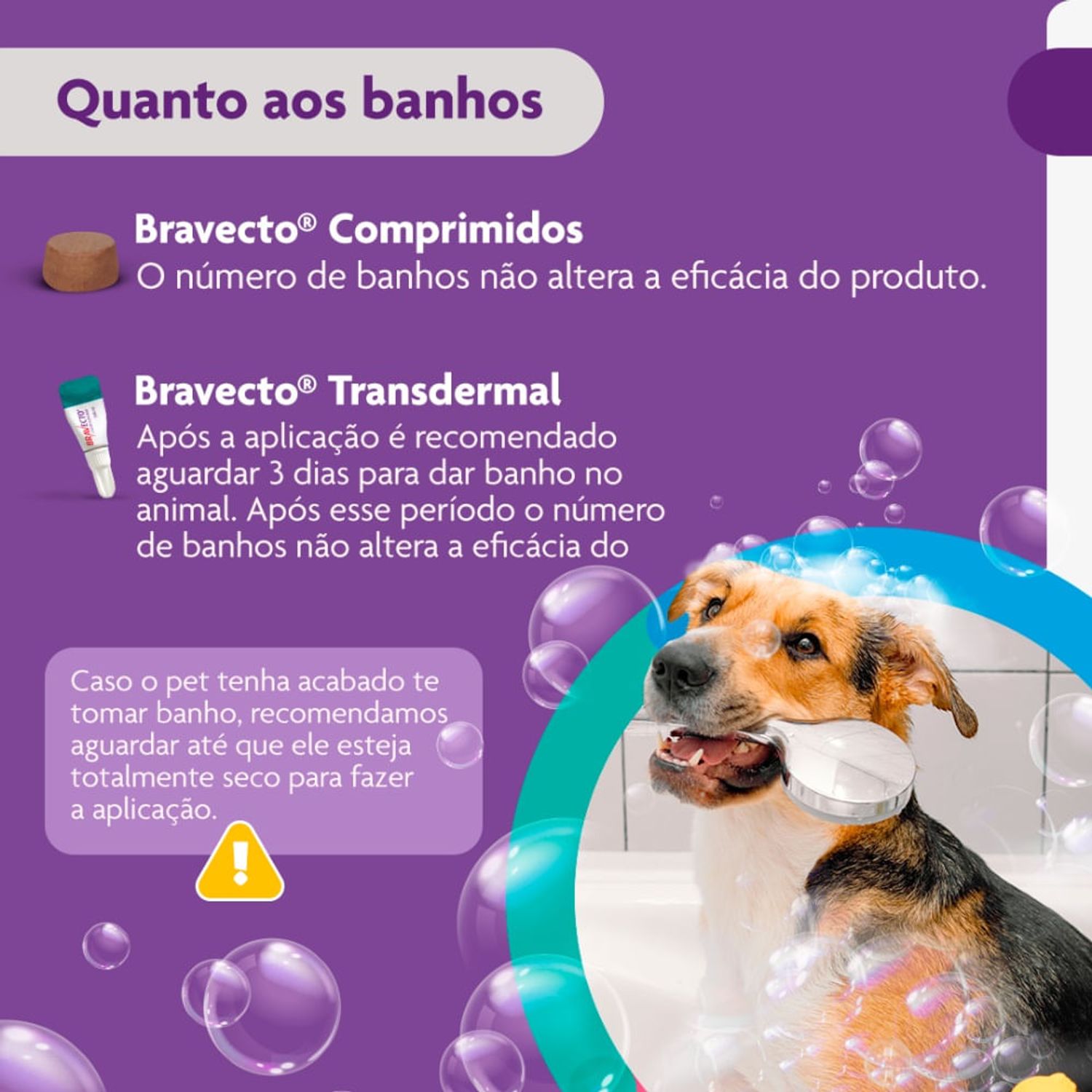 Bravecto---Quanto-aos-banhos