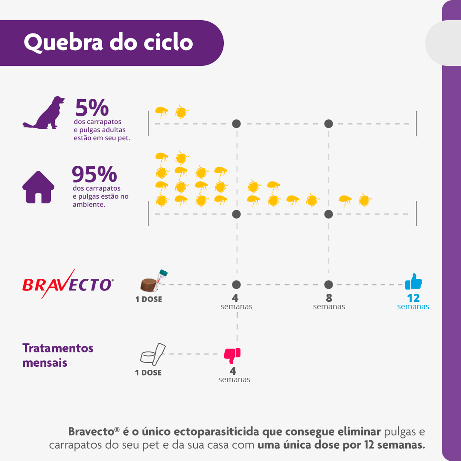 Quebra-do-ciclo-de-pulgas-e-carrapatos