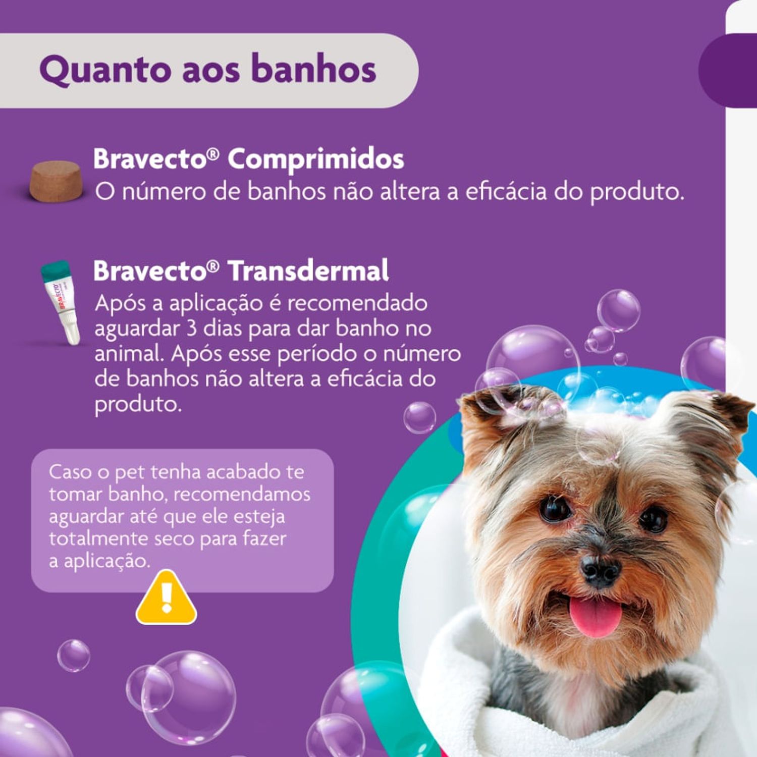 Bravecto---Quanto-aos-banhos
