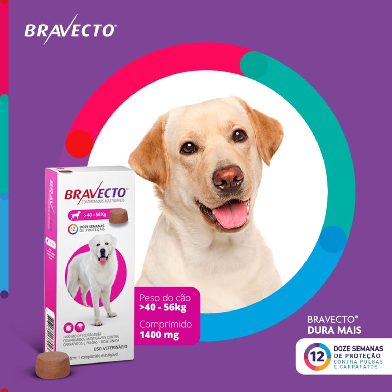 Bravecto-40-a-56-kg-Caes-comp.-1400mg-dura-mais