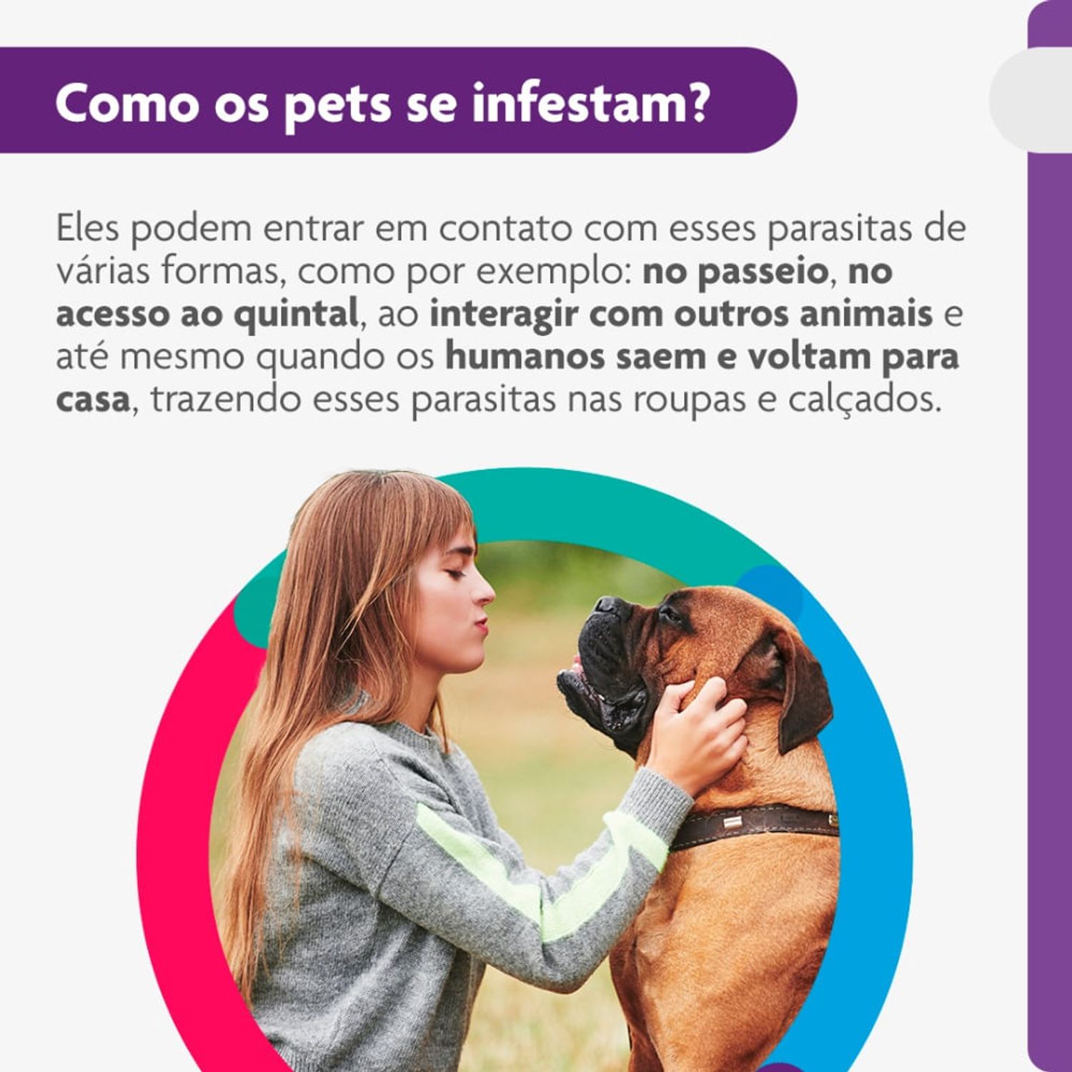 Como-os-pets-se-infestam-