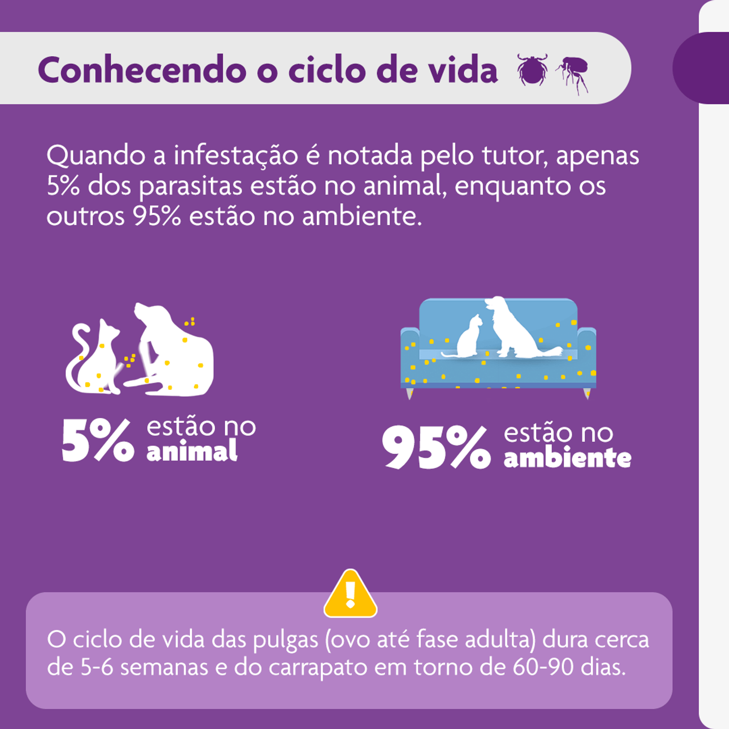 Conhecendo-o-ciclo-de-vida-de-pulgas-e-carrapatos