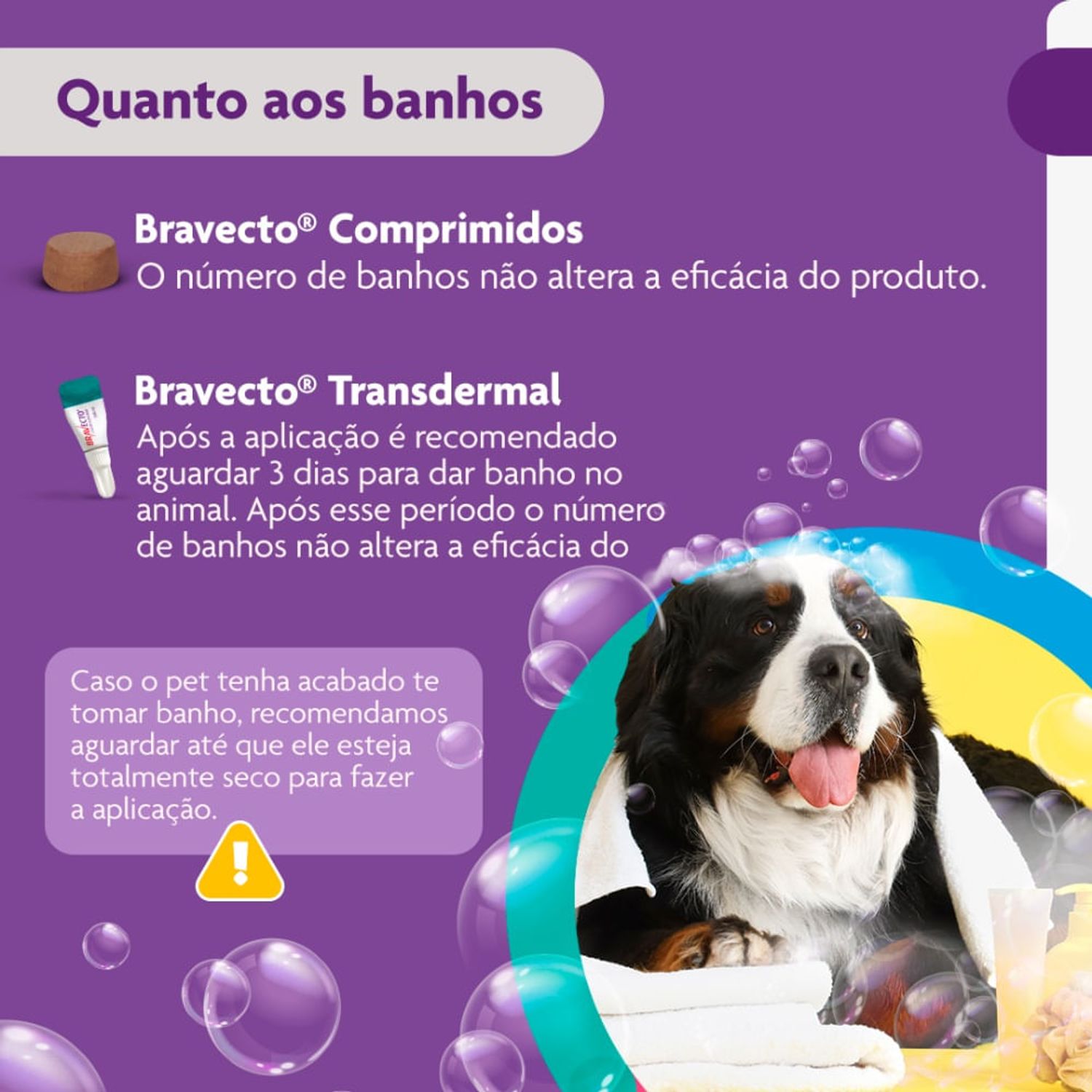 Bravecto---Quanto-aos-banhos