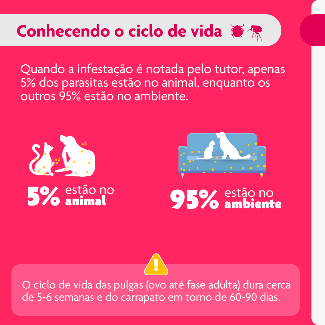 Antipulgas Bravecto Transdermal Cães 4,5 a 10kg