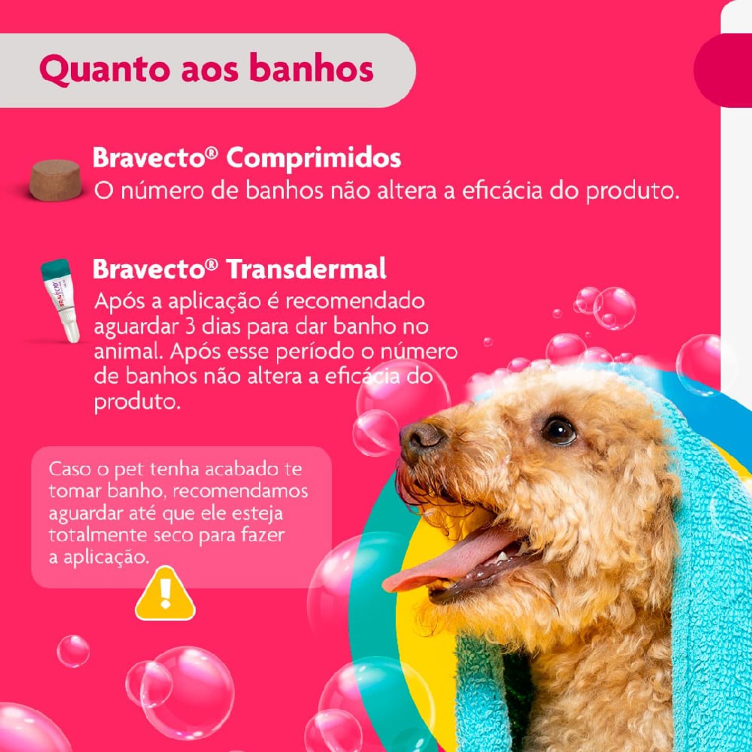 Bravecto-quanto-aos-banhos