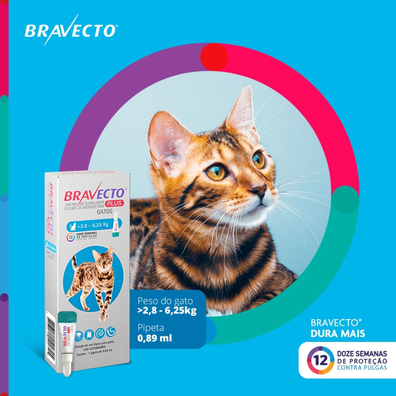 Antipulgas-Bravecto-Plus-Gatos-28-a-625kg-dura-mais