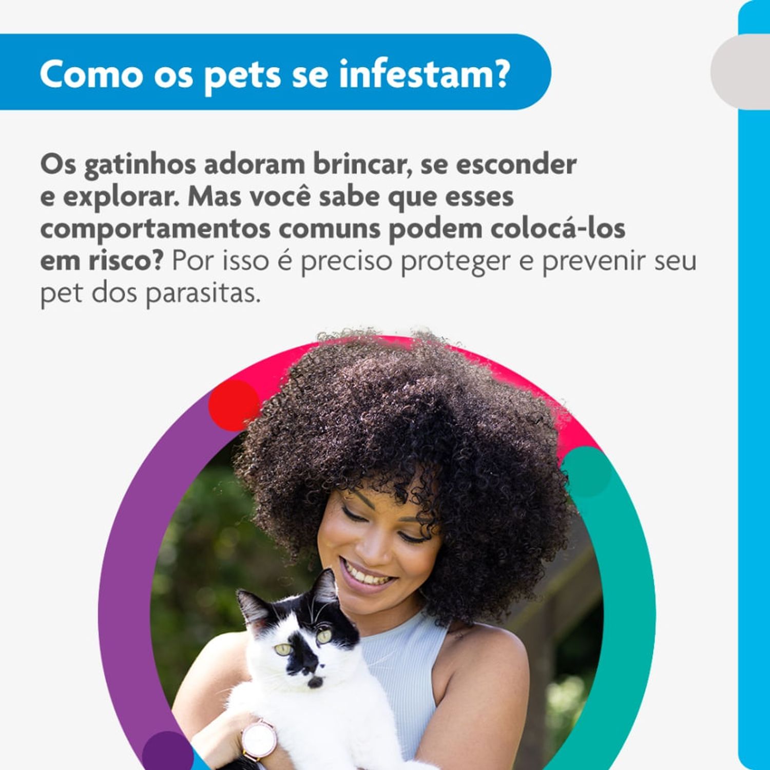 Como-os-pets-se-infestam-