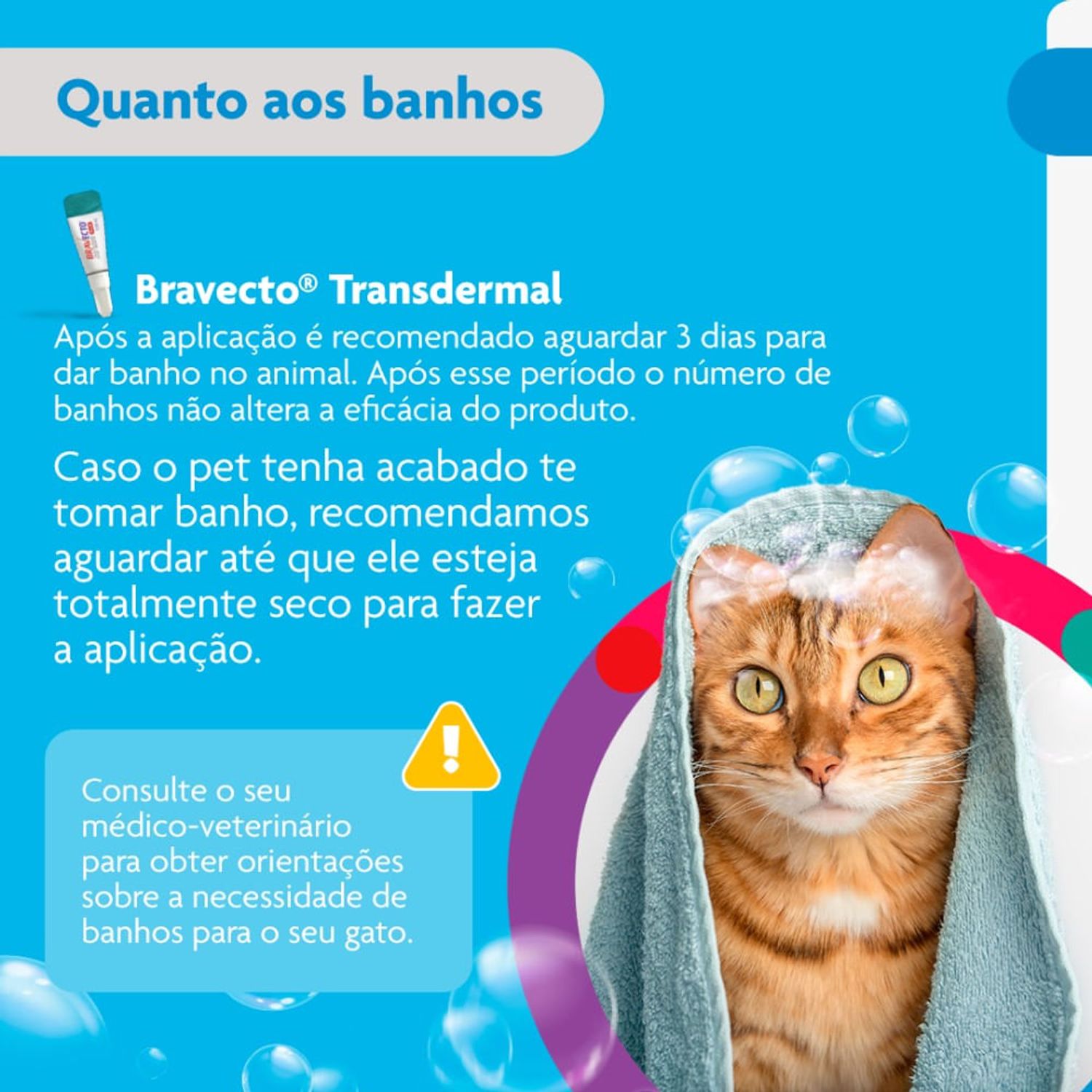 Bravecto---quanto-aos-banhos