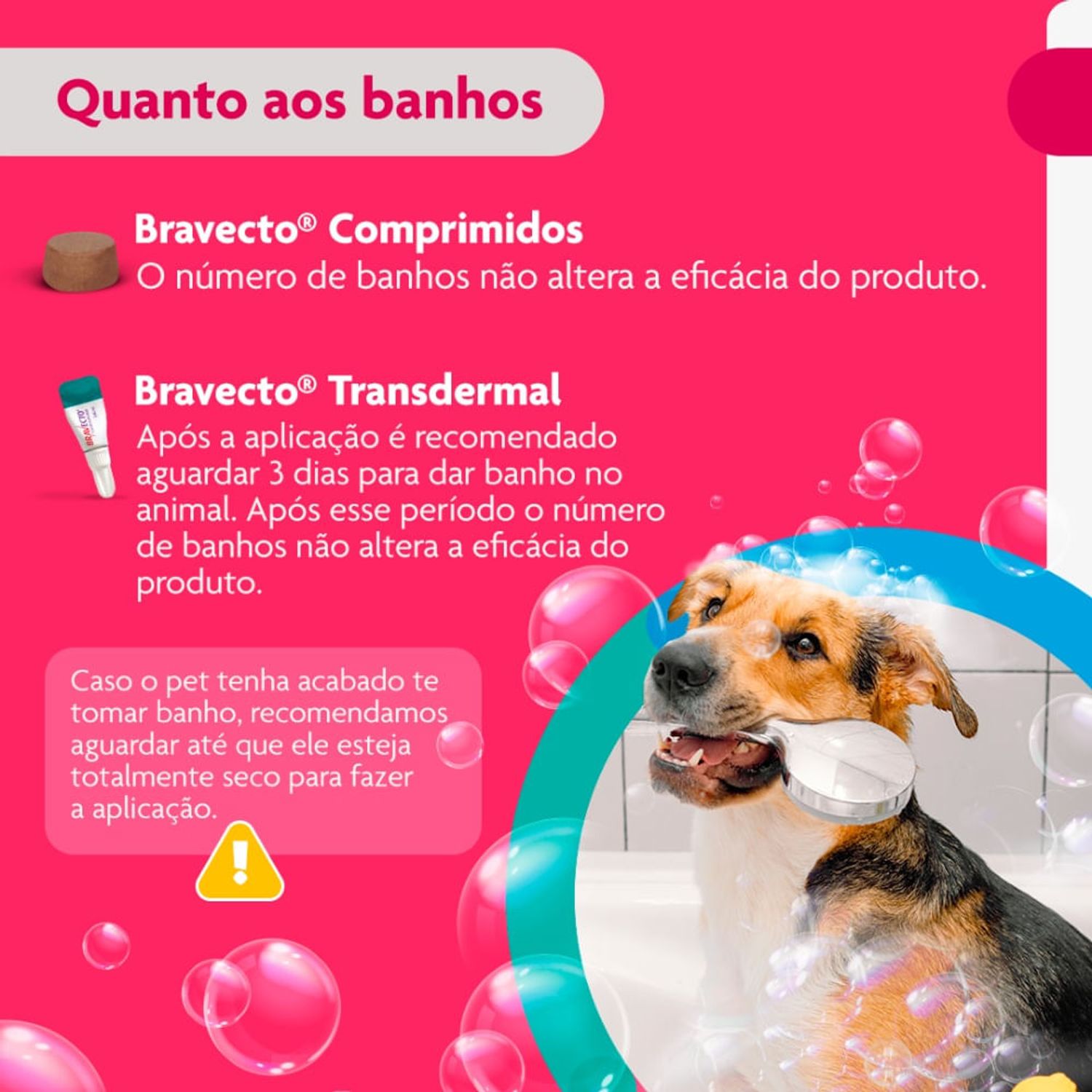 Bravecto-quanto-aos-banhos
