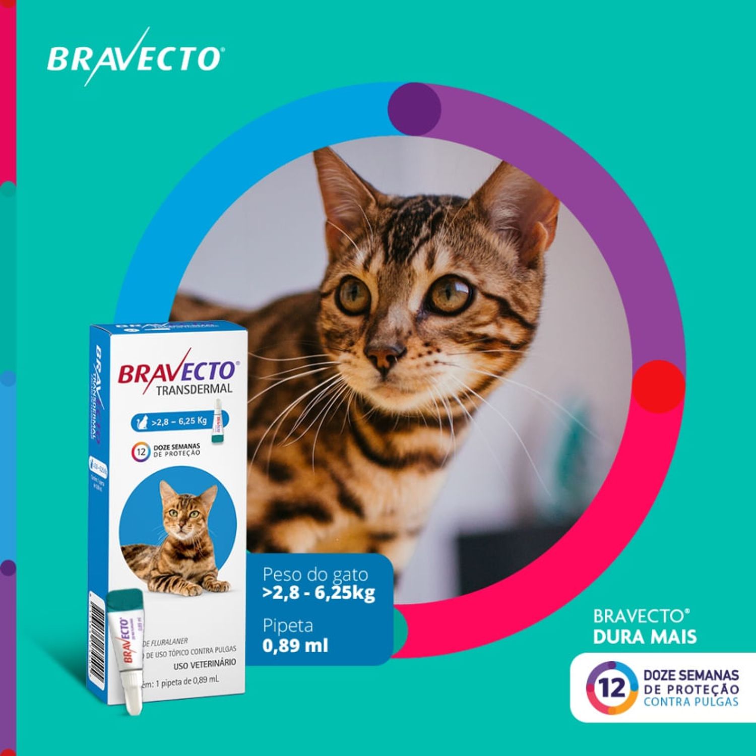 Bravecto-Transdermal-Gatos-28-a-625kg-dura-mais