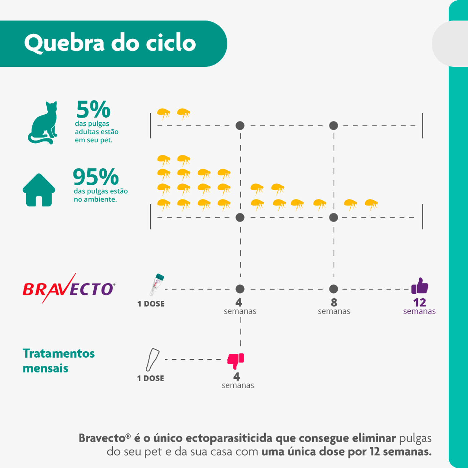 Quebra-do-ciclo-de-vida-das-pulgas