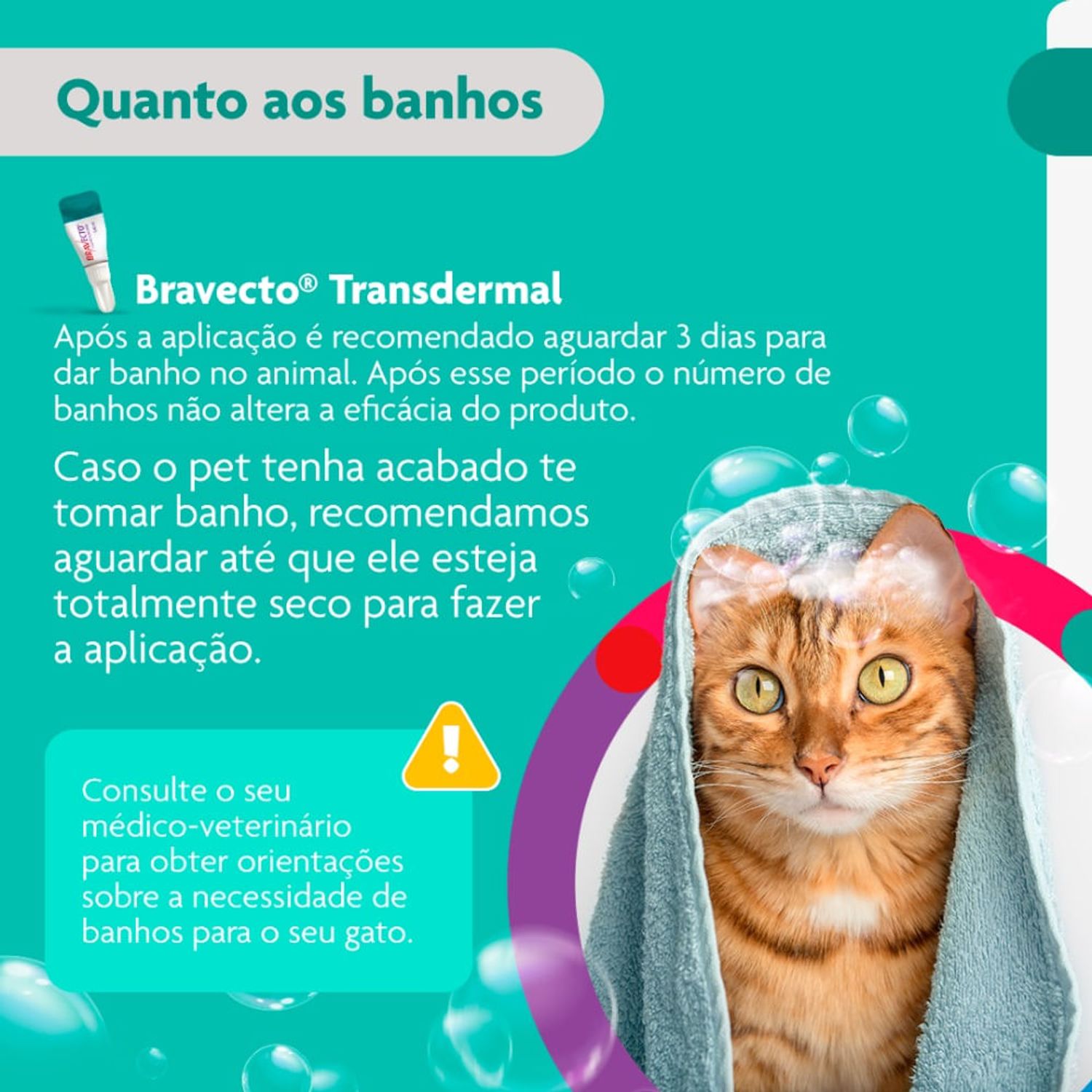 Bravecto---quanto-aos-banhos