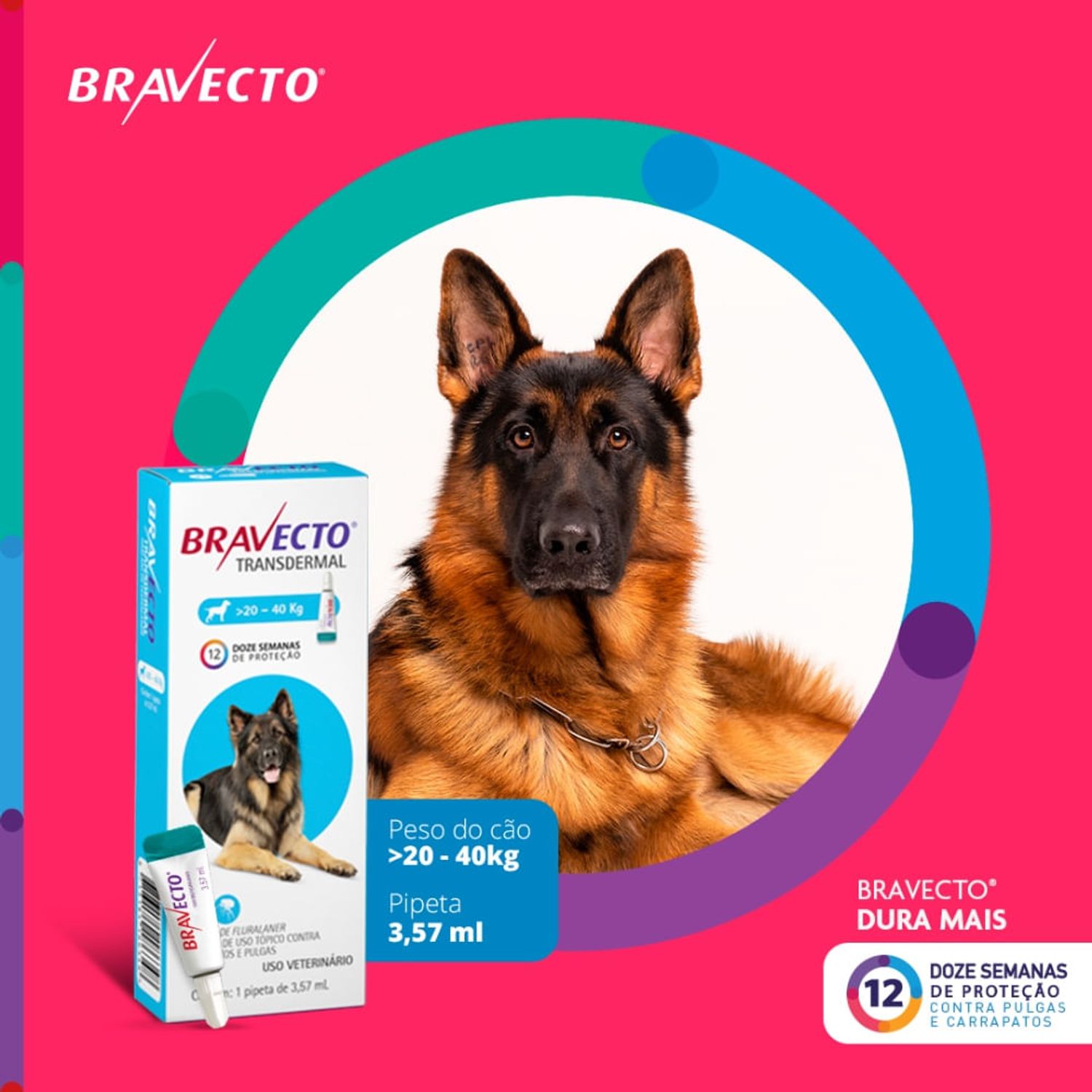 Bravecto-Transdermal-Caes-20-a-40-kg-dura-mais