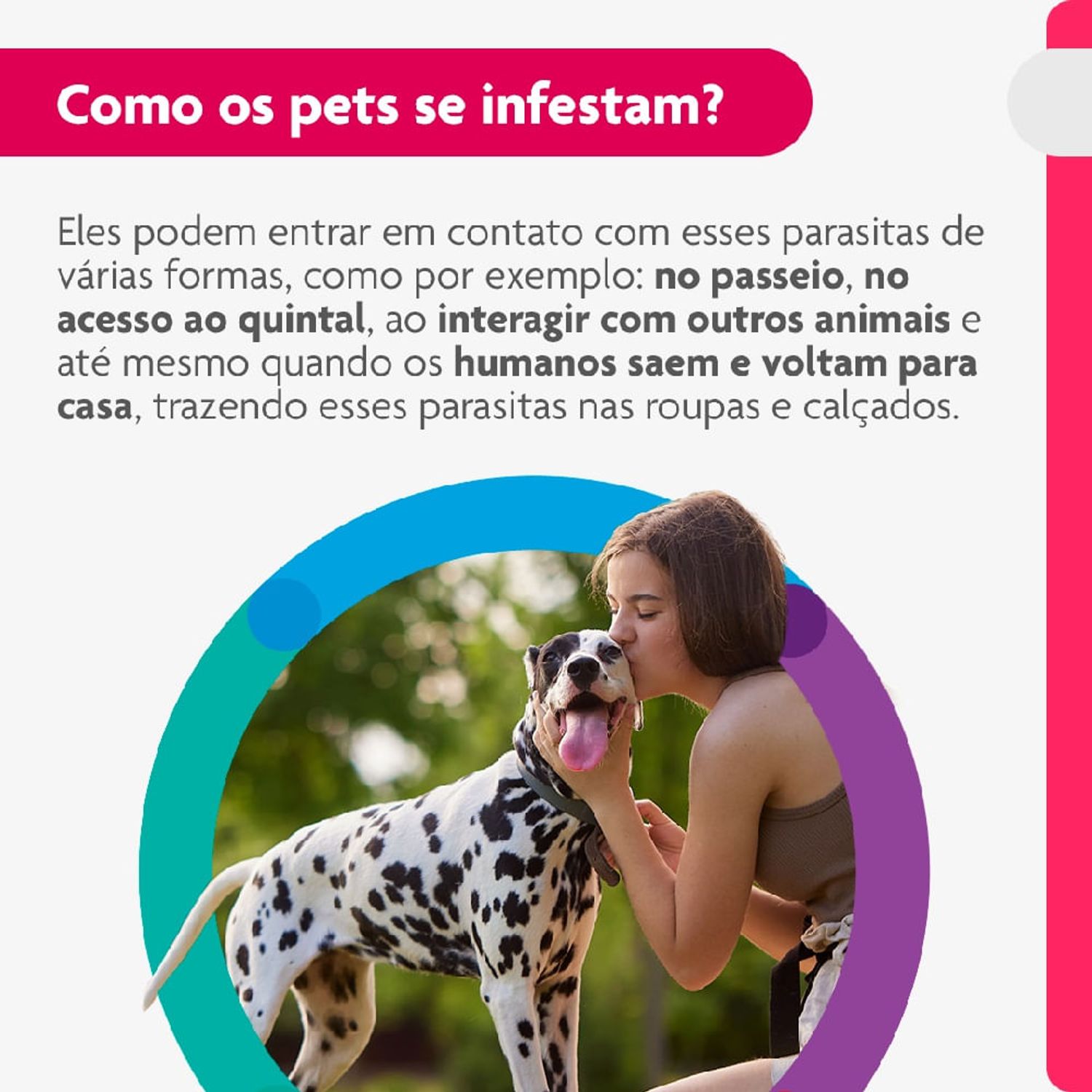 Como-os-pets-se-infestam-