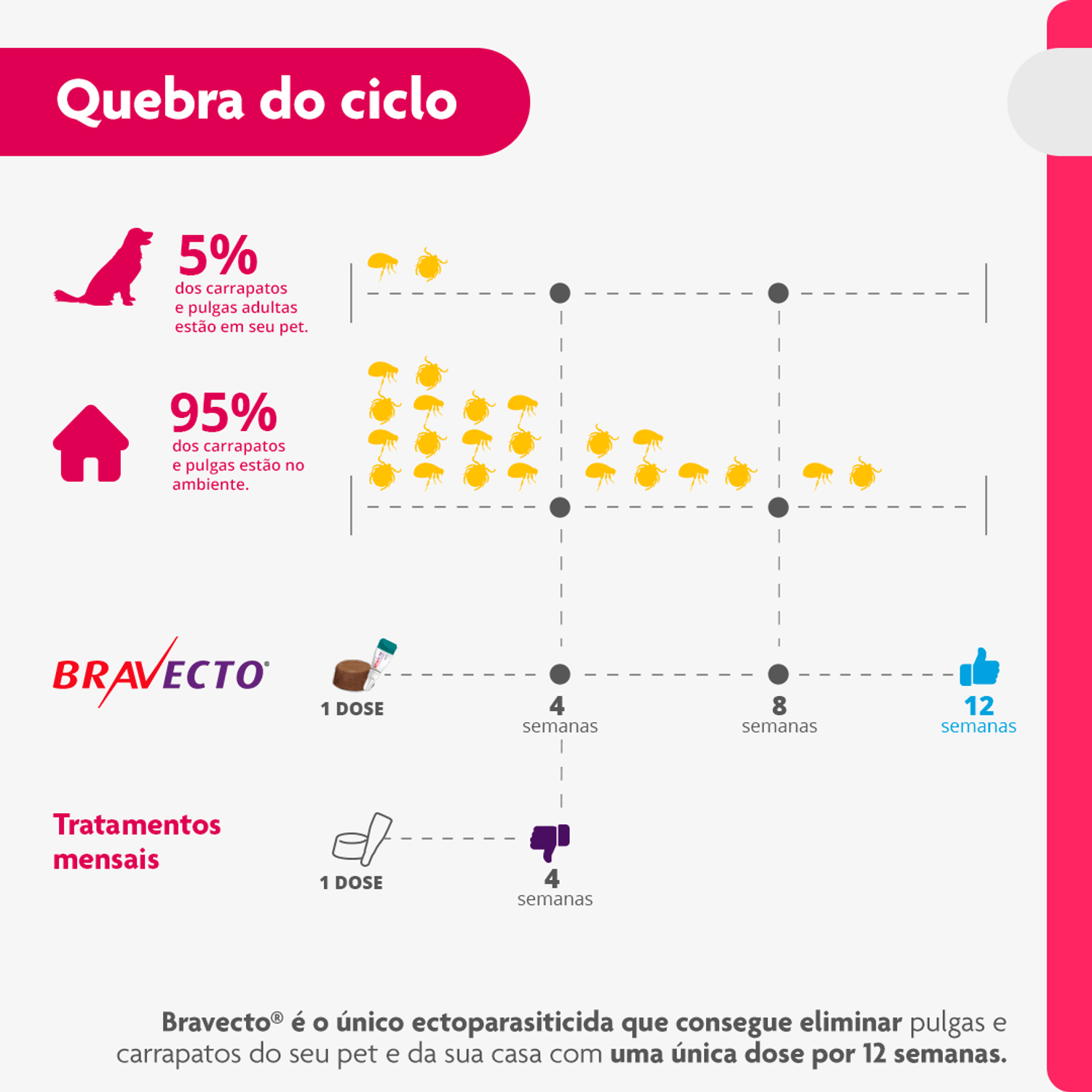 Quebra-do-ciclo-de-vida-de-pulgas-e-carrapatos