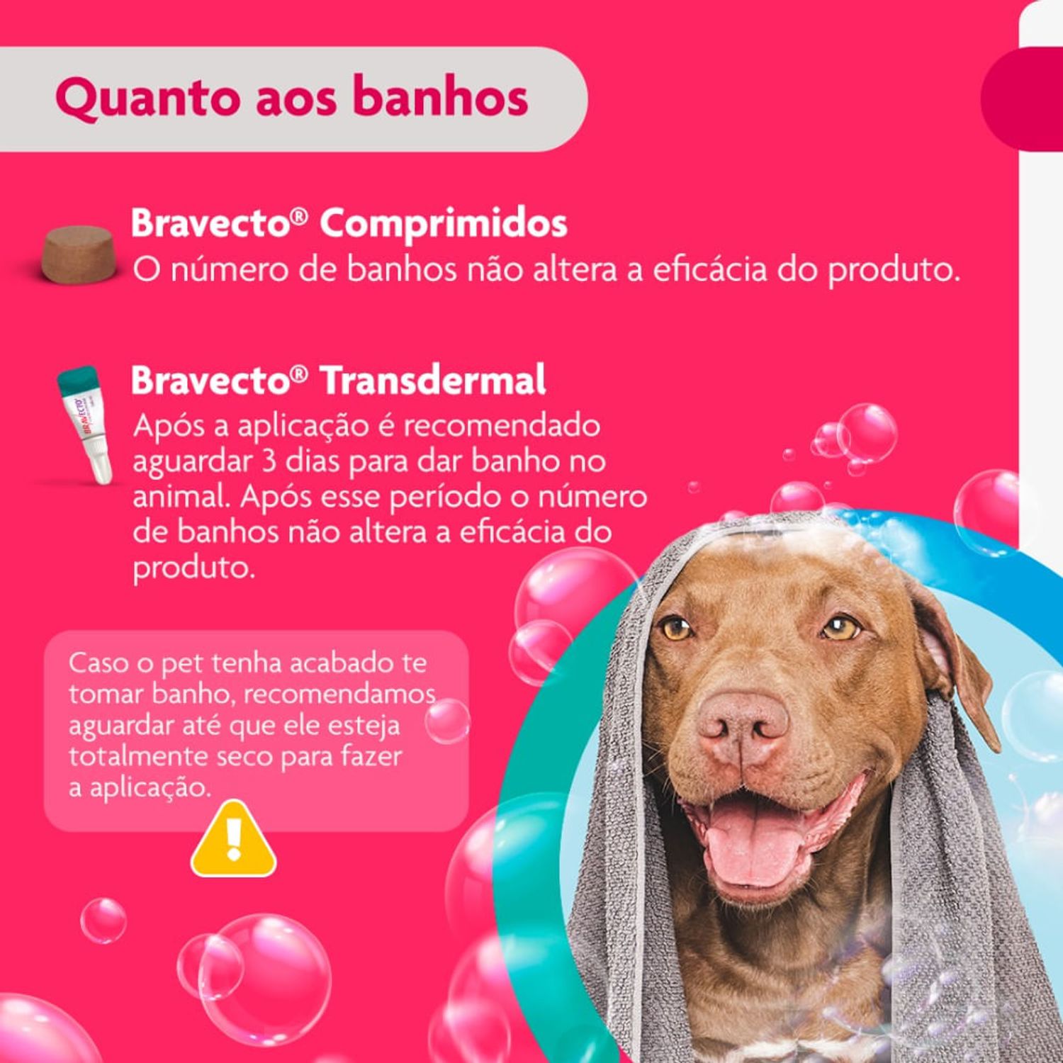 Bravecto-quanto-aos-banhos